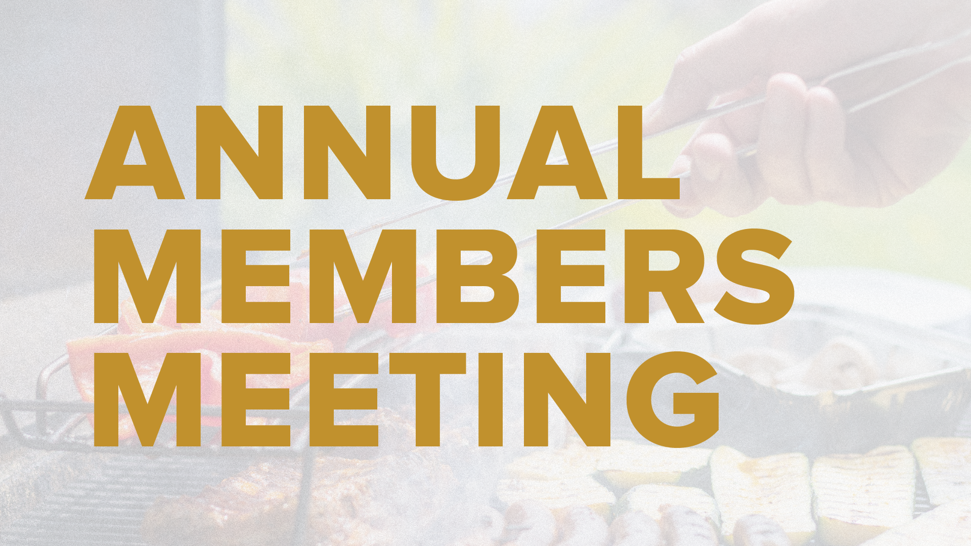 Annual Members Meeting